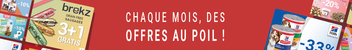header_title